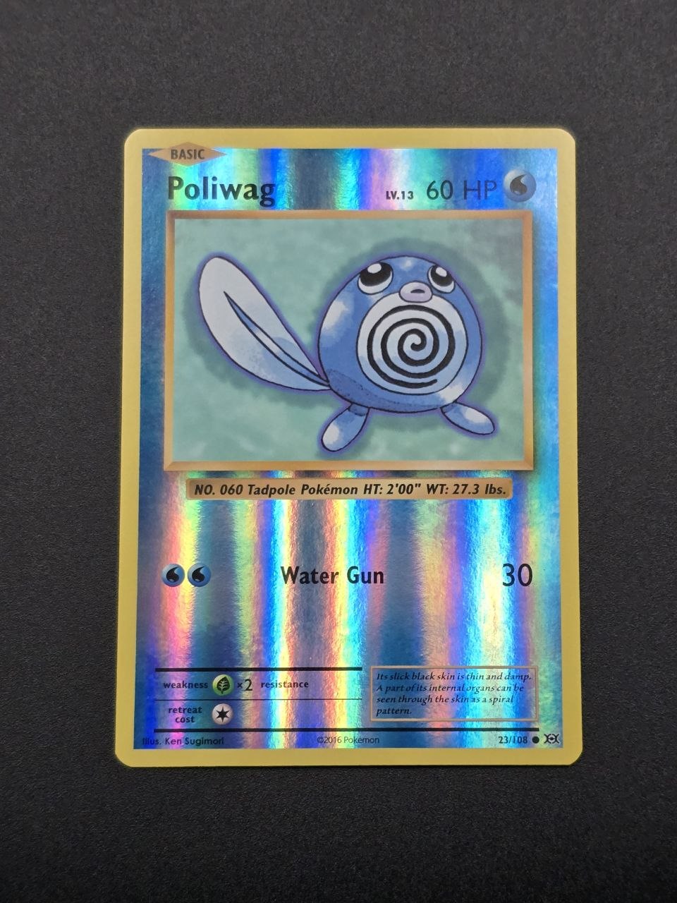 Poliwag [Reverse Holo] #23 XY Evolutions NM / 🇬🇧