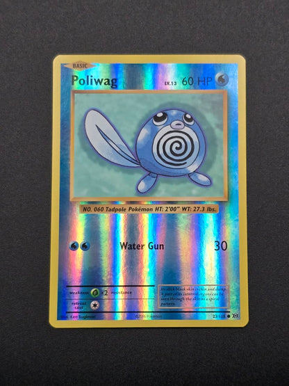 Poliwag [Reverse Holo] #23 XY Evolutions NM / 🇬🇧