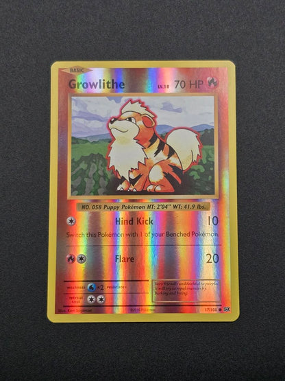 Growlithe [Reverse Holo] #17 XY Evolutions NM / 🇬🇧
