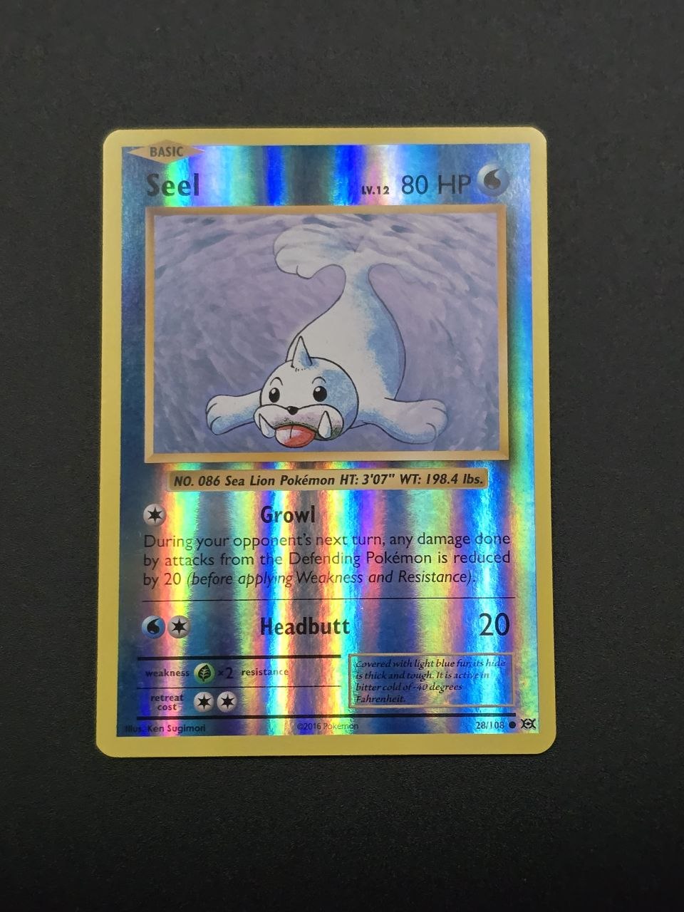 Seel [Reverse Holo] #28 XY Evolutions NM / 🇬🇧