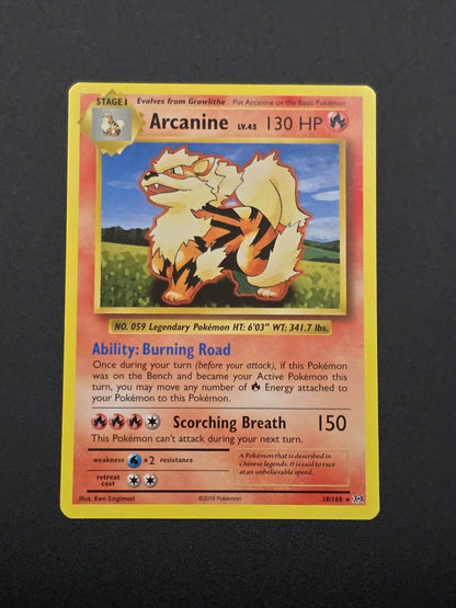 Arcanine #18 XY Evolutions NM / 🇬🇧