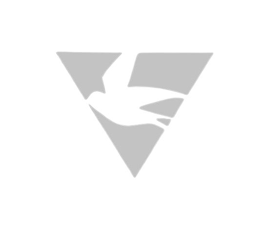 Sanctuary Collectors